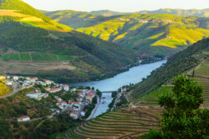 Vineyard Hills on the Douro River