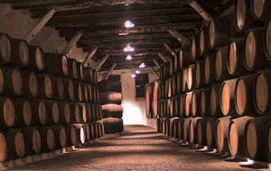 Wine - Porto